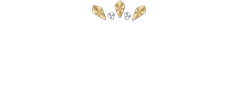 Exclusive Casino Review