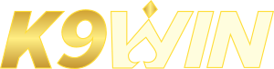Read our K9WinAU review